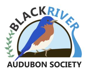 Black River Audubon Society logo