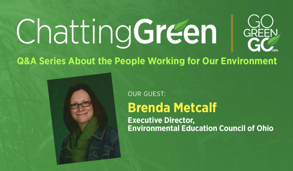 Chatting Green Q&A Header with Brenda Metcalf