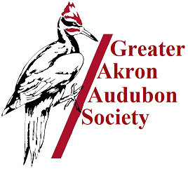 Greater Akron Audubon logo