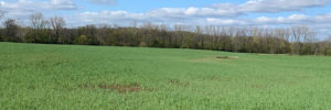Photo of grass field in Ashland County Ohio