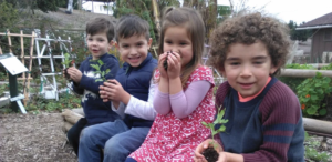 Elder Tree, photo of kids with small plants
